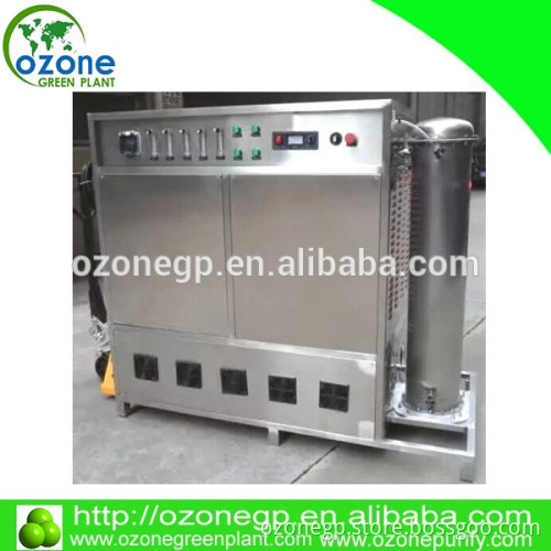 100g/hr Oxygen source industrial ozone generator water treatment machine for sewage water, pool water,drinking water purifier